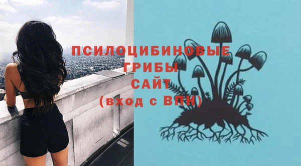 амф Верхний Тагил